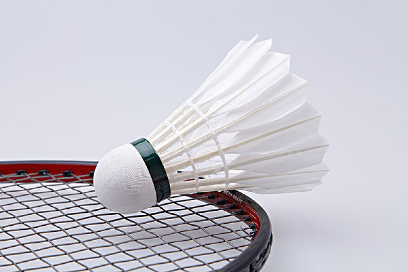 沈梓捷的D 沈梓捷的D